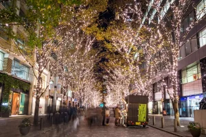Title: Tokyo's Magical Shibuya Blue Cave: A Winter Illumination Guide 10 food cart under trees with lights