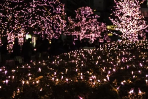 Title: Tokyo's Magical Shibuya Blue Cave: A Winter Illumination Guide 12 Shinjuku Southern Terrace Christmas lights