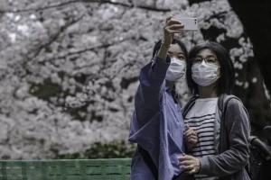 women taking selfie at Ueno Park cherry blossoms