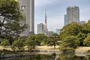 Tokyo Tower behind Hamarikyu Gardens