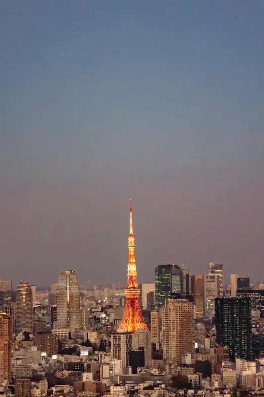 Illuminated Tokyo Tower glowing orange above a dense city skyline at night under a clear twilight sky.