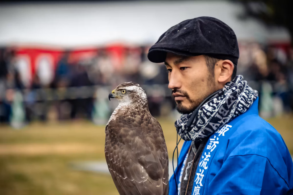 A falconer in a blue coat holds a hawk during a falconry at Hama Rikyu event, both looking intently to the side.